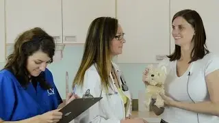 3rd time's a charm: Talking dentistry with veterinary clients