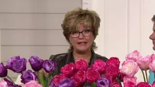 Roberta's 30 pc. Double Flowering Tulip Collection on QVC