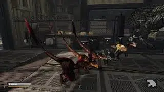 Raptor Party 3