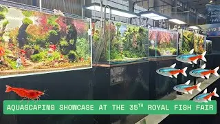 🌿 Aquascaping Showcase at the 35th Royal Fish Fair 🌿