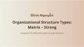 [P77sE36] Introduction: Organizational Structure Types: Matrix &ndash; Strong