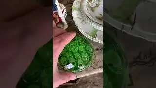 Found Beautiful Green Glass Flower Frog for 1 Dollar at Garage Sale!
