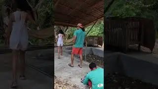 No smell system pig pen in the Philippines! #farming #agriculture #sustainablefarming