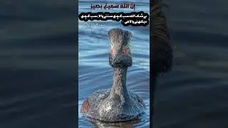 They are not your mothers // Al Quran