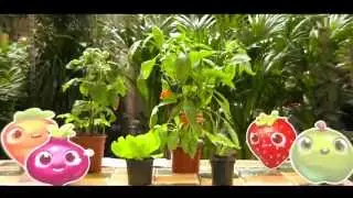 #BeAFarmHero Grow your own Cropsies