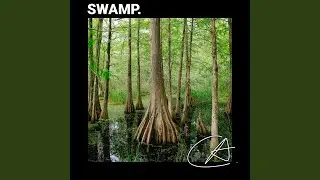 Natural Frog sounds in Forest with loop for relaxation