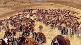 TERK EDİLEN KÖYLERDEN  GEÇİYORUZ(10.gün)