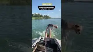 Девушка с собачкой в лодке
