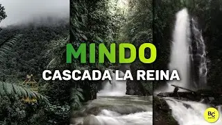 🏕️ MINDO Ruta 🏞️ Cascada la Reina 👑 || Bradcor Tutoriales ✅