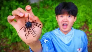 I Went Fishing With The Weirdest Bait Ever!!