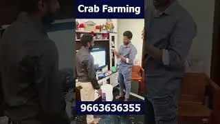 Crab Farming Live Workshop | Real-Time Farm Setup & Feeding Demo | farm visit 9663636355 Kannada