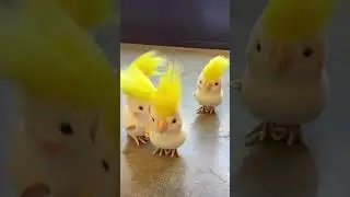 Kids Toys Cute White Parrot Clockwork Toy Jumping Wind-Up Cockatoo