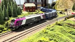 256 104 RENFE MERCANC&Iacute;AS mit TRANSFESA