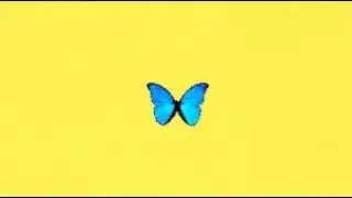 butterflies 🦋 original song