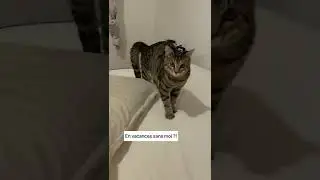 IL VA NOUS FAIRE LA F&Ecirc;TE ! 😱😅
