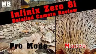 Infinix Zero 8i Detailed Camera Review by Mowgli Baba