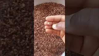 Kanji mix #Kattuyanamrice #Karunguruvairice #Rathasalirice #Moongilrice