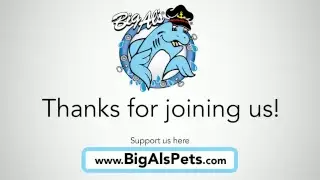 Brian Summerhayes Live Stream TEST