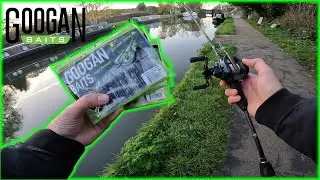 Perch on a BASS LURE? (ZombieBite USA Series Googan Baits)