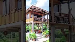 the stilt house has a beautiful and unique garden#shorts #short #house