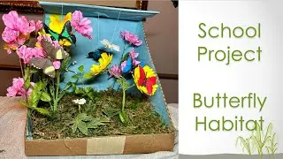 Early Education School Project - Butterfly Habitat