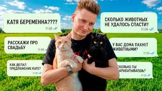 How Many Animals Didn't We Save? Wedding, Relationships, Pregnancy. Q&A / SANI vlog