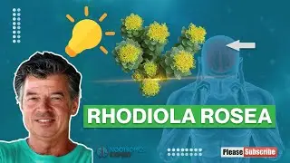 Rhodiola Rosea