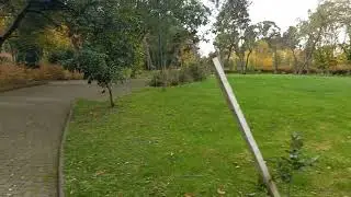 Parque Cuarto Centenario Osorno Chile