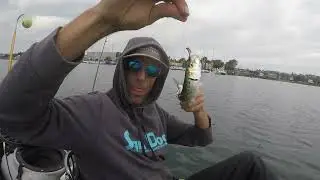🤘HOW TO RIG FOR #Halibut #sandiegobay CATCHING HALIBUT IN SPANISH LANDING #fishing #sandiegofishing