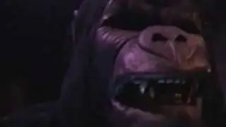 King Kong Ride Universal Studios 15/02/01