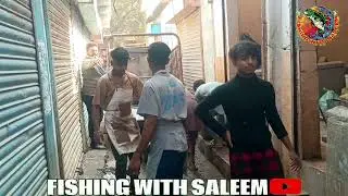 Subah savere ki machhali market sector 36