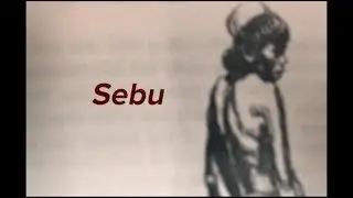 Sebu - Official Music Video by DefMod Network