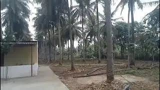 1.ACRE 10GUNTA LAND SALE MALVALLI NEAR 15KM BANGALORE 115KM MYSORE 45KM PRICE TOTAL1.20CR.9902421145