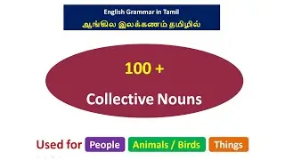 Collective Nouns !!#learnenglish#englishtotamil#tamiltoenglish #englishgrammar#englishgrammarintamil