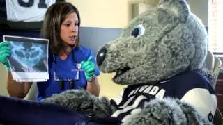 Wolfie Visits Champagne Family Dentistry