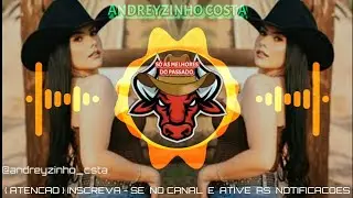 BAILÃO SERTANEJO - EDIÇÃO ESPECIAL 2025 BAILÃO SERTANEJO ((ANDREYZINHO COSTA))