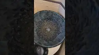 Kiln reveal