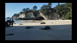 cathedral cove walk hyperlapse