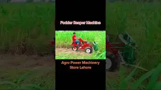 Fodder Cutter Reaper Machine #youtubeshorts #youtube #ytshorts