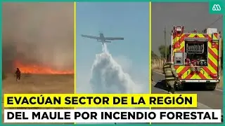 Evacúan sector de región del Maule por incendio forestal: fuego es combatido por aire y por tierra