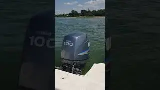 Yamaha F 100 2001 г.