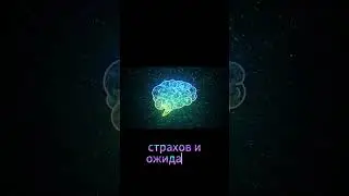 #Финансы #Психология #Деньги