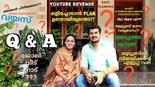 എല്ലാവരും പറഞ്ഞ് കഴിഞ്ഞെങ്കിൽ ഞങ്ങൾക്ക് കുറച്ച് പറയാൻ ഉണ്ട് ഞങ്ങളെ പറ്റി 😍| Q And A Pineapple Couple