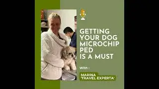 Getting Your Dog Microchipped Is a Must - Traveling and Moving International with Your Pet