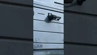 2026 Volvo Lower Rear Camera Blink / Нижняя задняя камера моргает #automobile #truck #camera