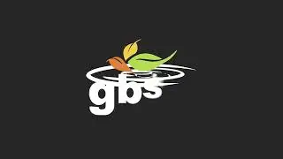 GBSH Consult Group Introduction | Strategy, Technology & Change Management Experts