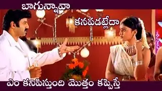 Balakrishna Funny Counters To Shriya Saran Excellent Comedy Scene | TFC Comedy