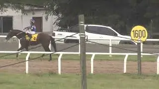 12/27/2025 – Hipodromo Melo – Carr 5 – 3 DE DICIEMBRE DÍA DEL MÉDICO