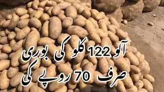 21 march Potatoes rates Okara depalpur sbz mandi Alo ka naya rate 21-03-2022 potatoes new rates