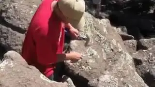 Geologist's Music